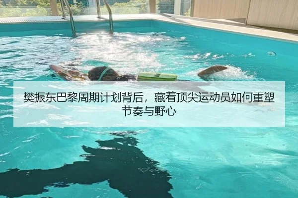 樊振东巴黎周期计划背后，藏着顶尖运动员如何重塑节奏与野心